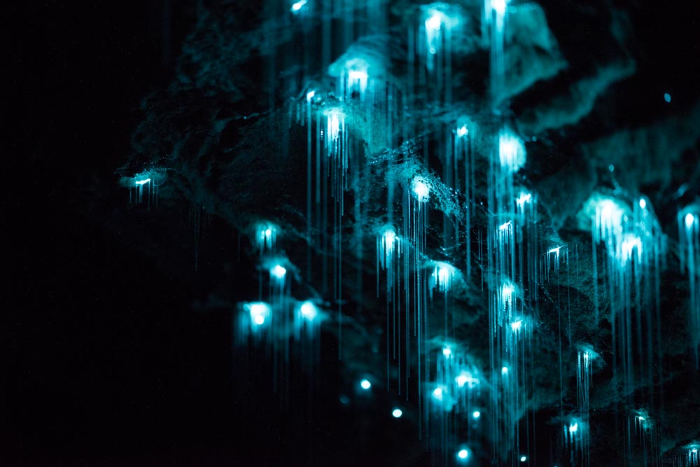 Long Exposure Photography - Joseph Michael Glow Worm Cave 1