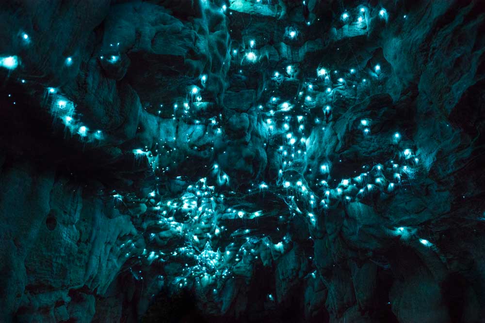 Long Exposure Photography - Joseph Michael Glow Worm Cave 3