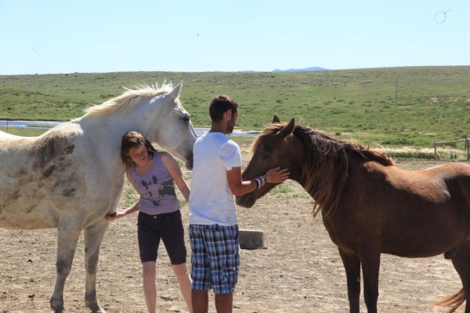 Longboarders Hanging Out With Horses