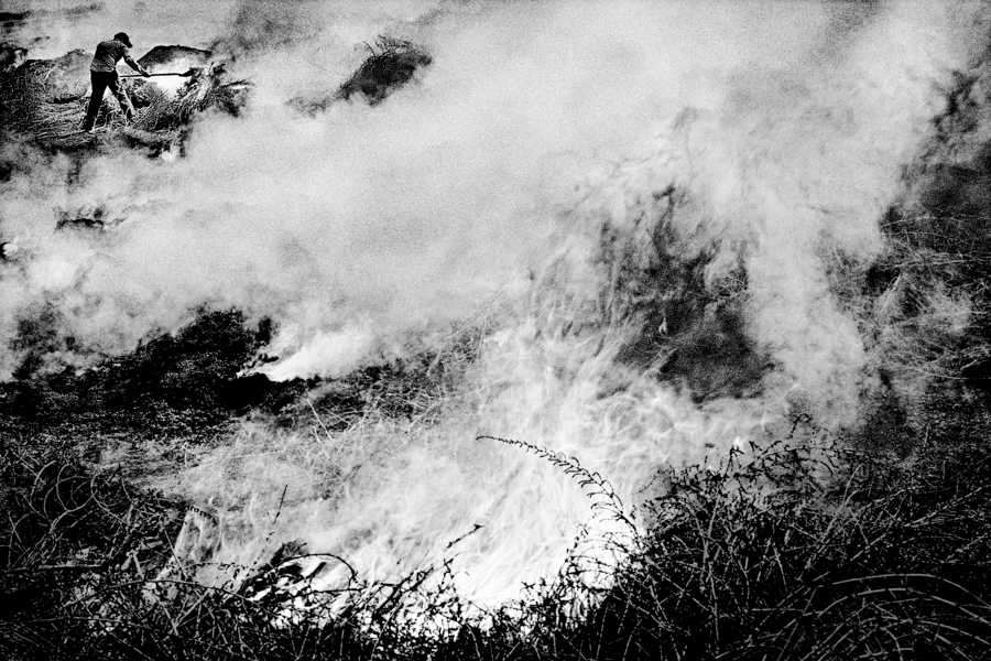 Matt Black Kingdom Of Dust - Clearing Tumbleweeds