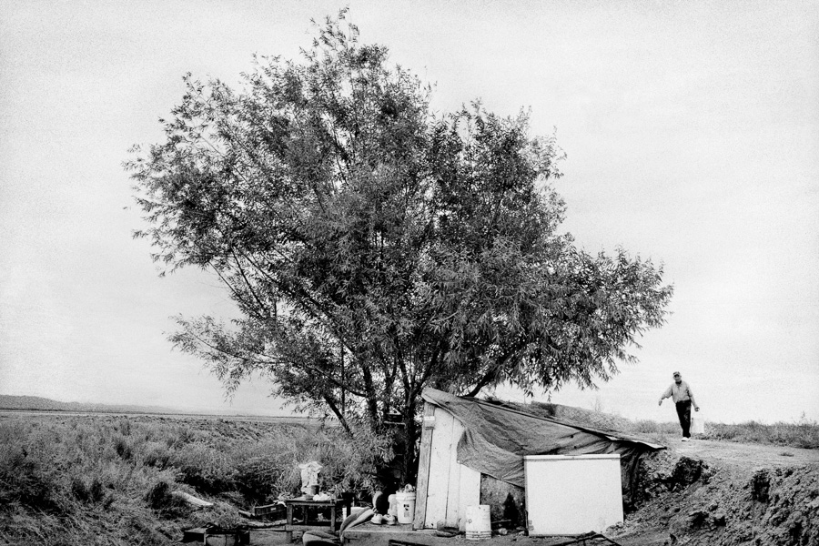 Matt Black Kingdom Of Dust - Ex-Farm Worker