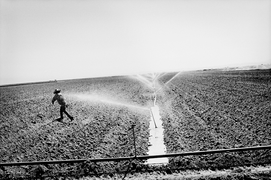 Matt Black Kingdom Of Dust - Watering Tomato Field