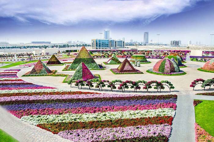 Dubai’s Miracle Garden Looks Like A Trippy, Multi Coloured Wonder Land