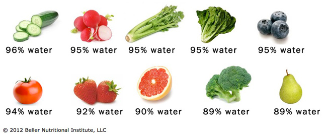 Salads Are For Losers - Vegetables Are Mostly Water