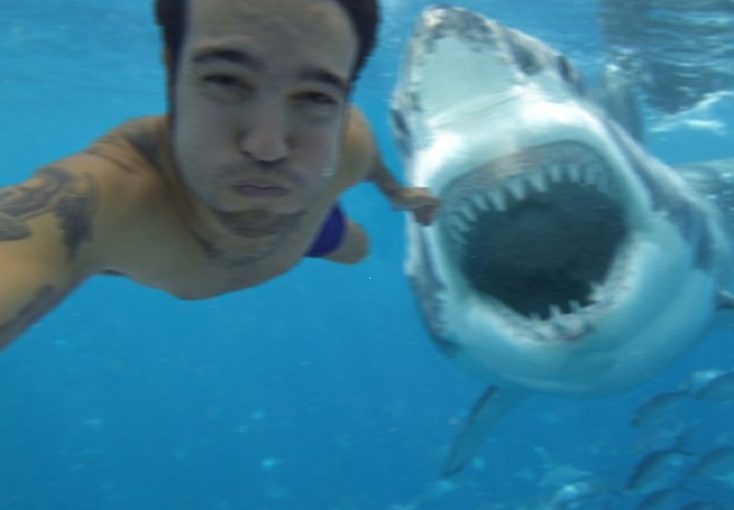 Selfie Shark Attack