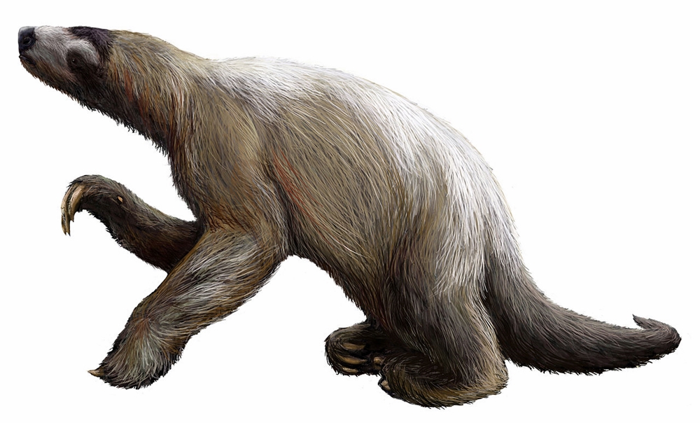 Shittest Animals - Giant Ground Sloth