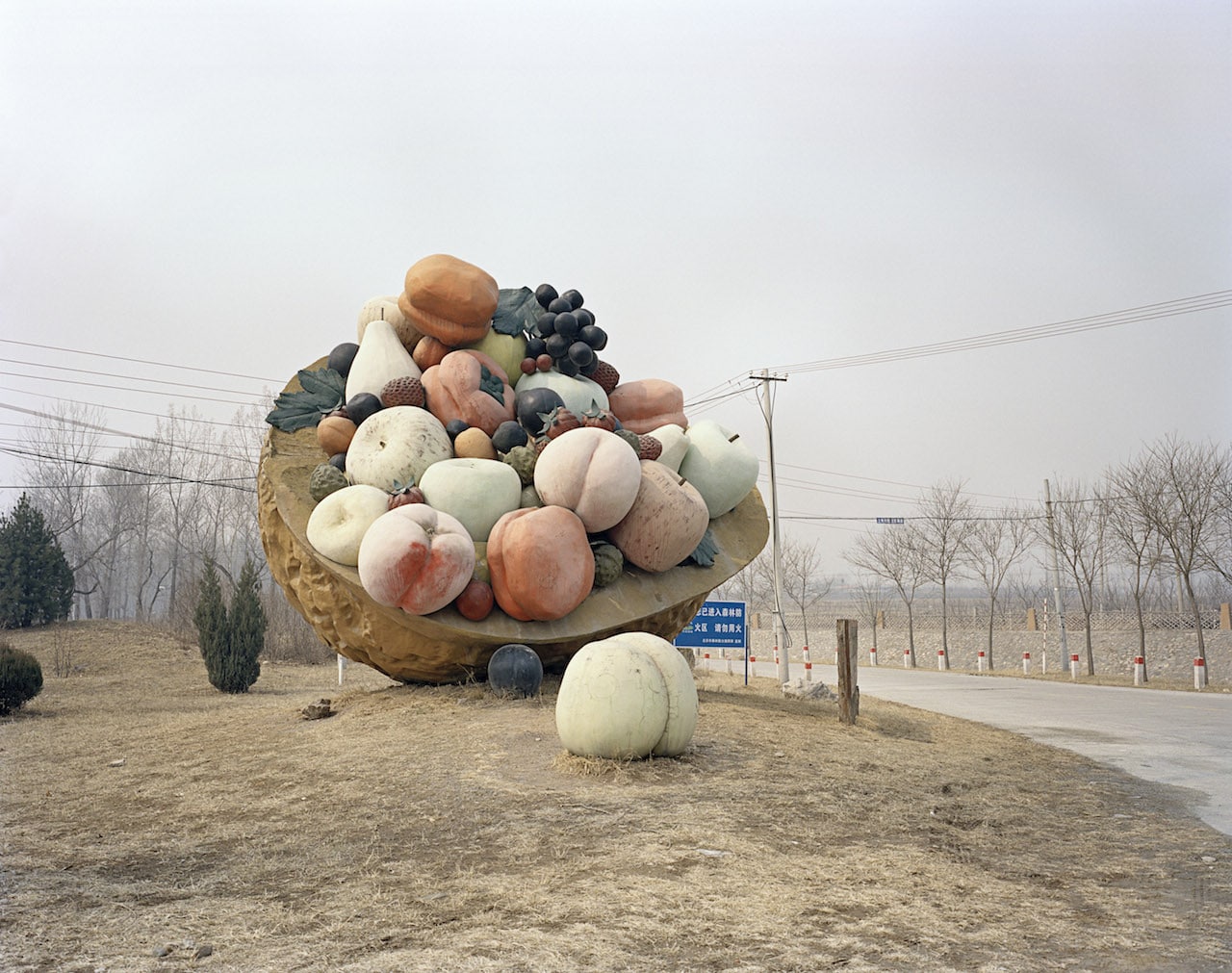 Stefano Cerio - Hibernating Parks - Huairou Fruit