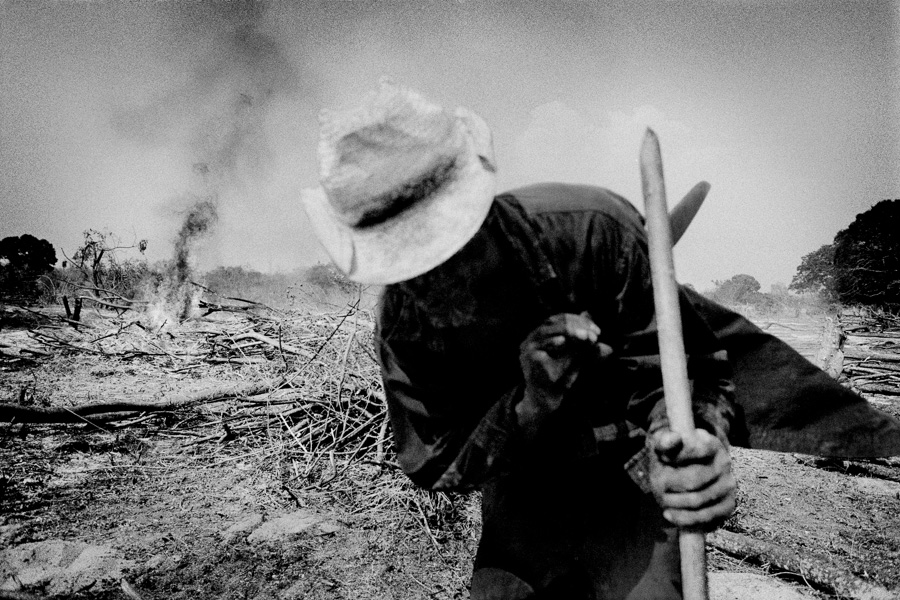 The Third Rood - Matt Black - Clearing Forest