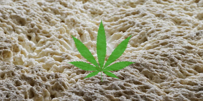 Yeast Weed