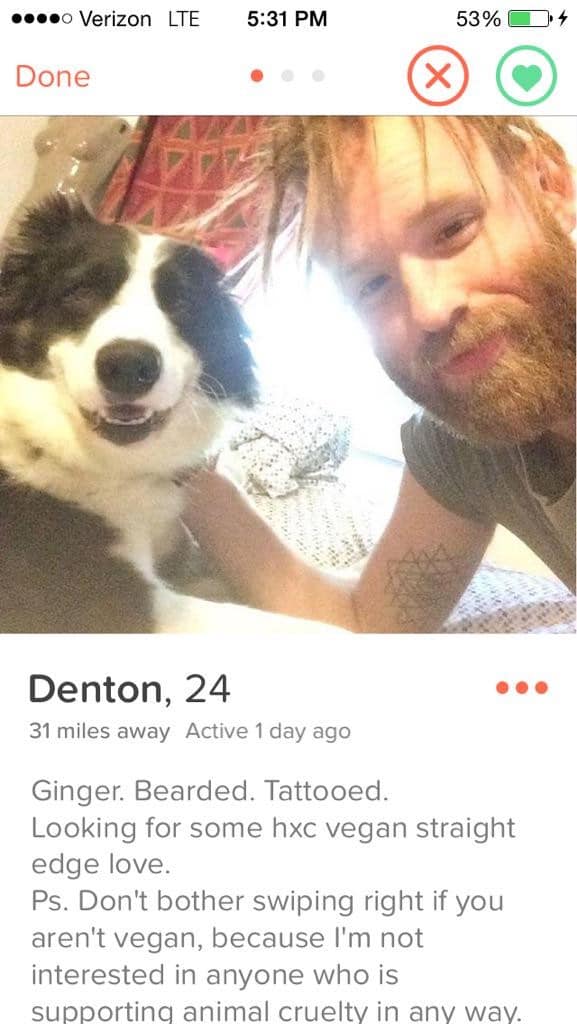 gingerdenton