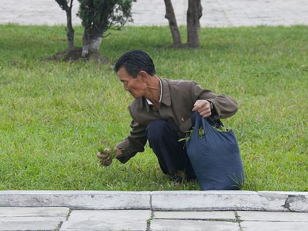 Eric Lafforgue - North Korea - Sleeping Grass