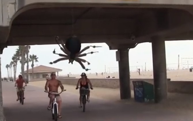 Giant Spider Prank