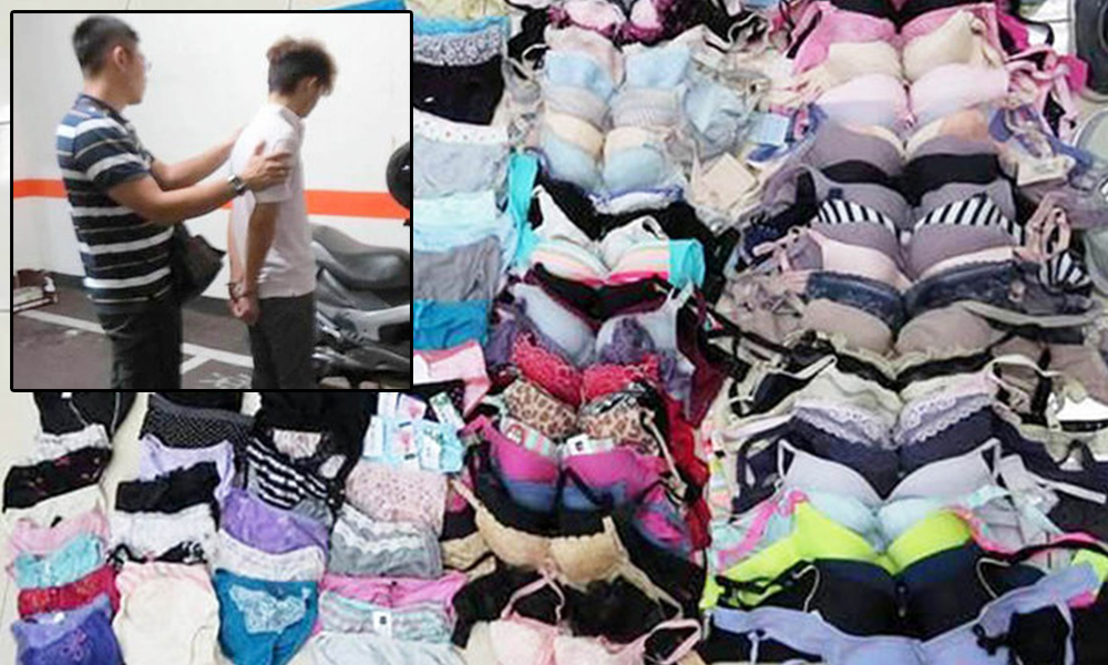 Perv Who Stole And Collected A ‘museum Of Stolen Uni Girls Underwear 