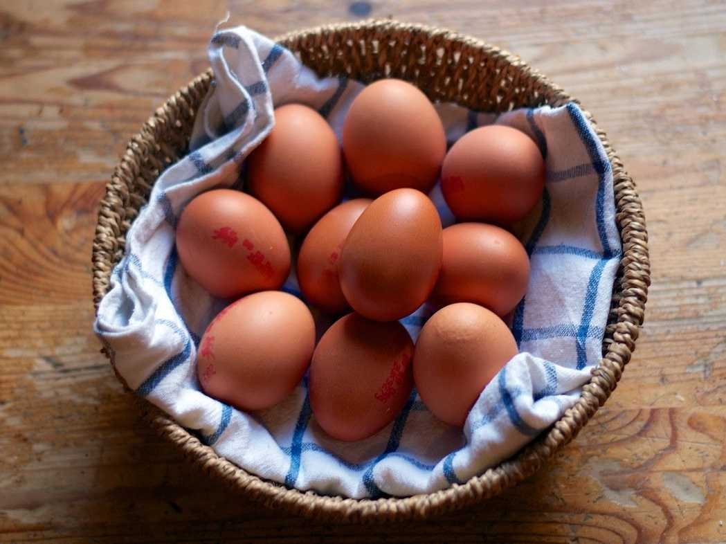 eggs