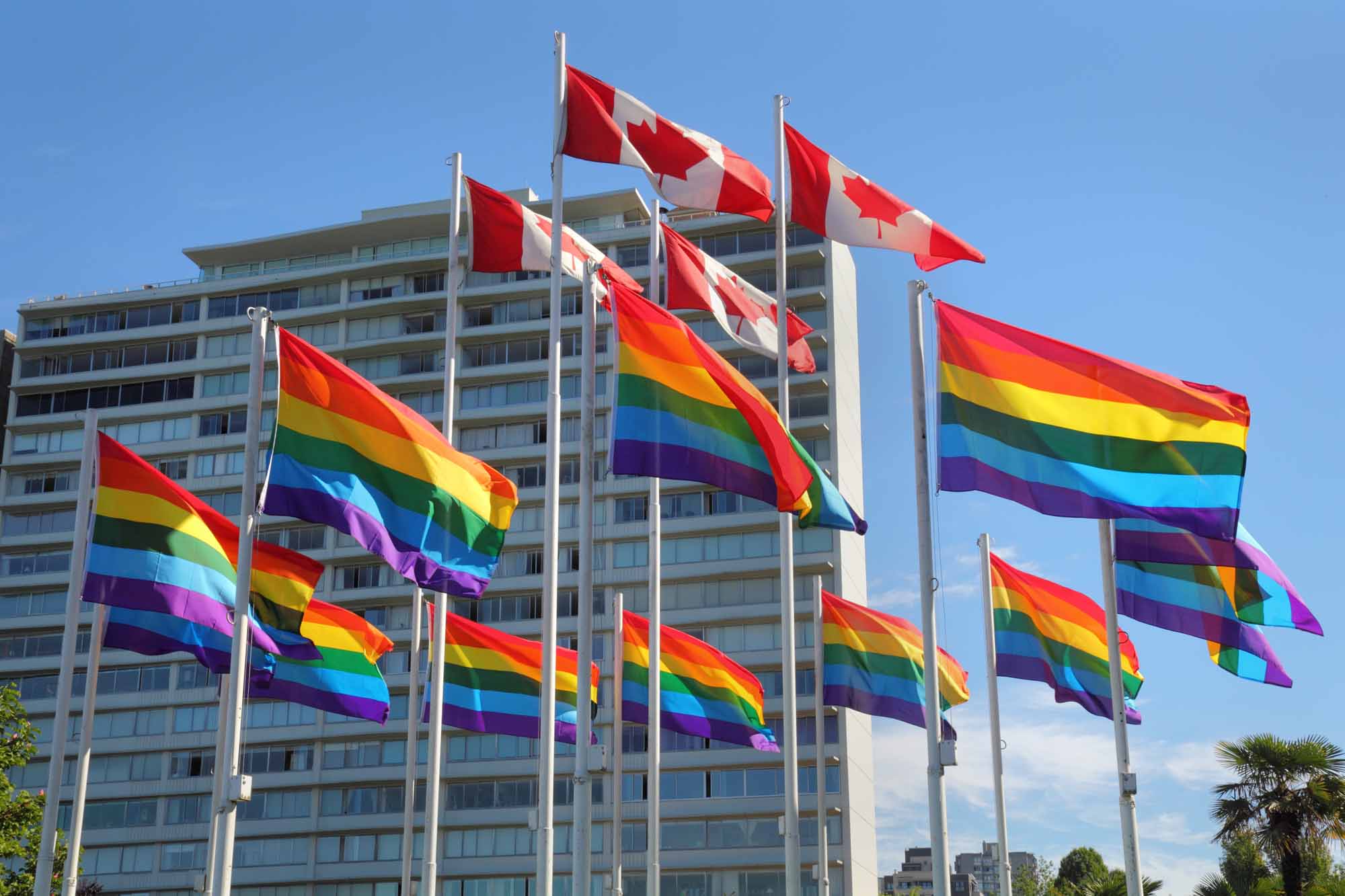 Gay Canada