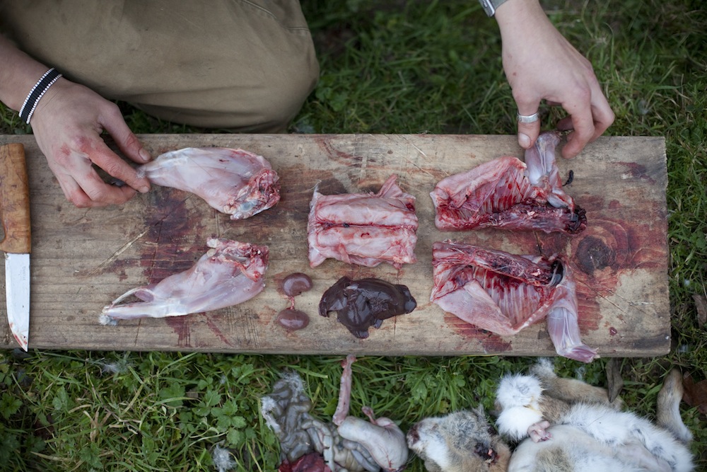 How To Skin And Gut A Rabbit - Fillets