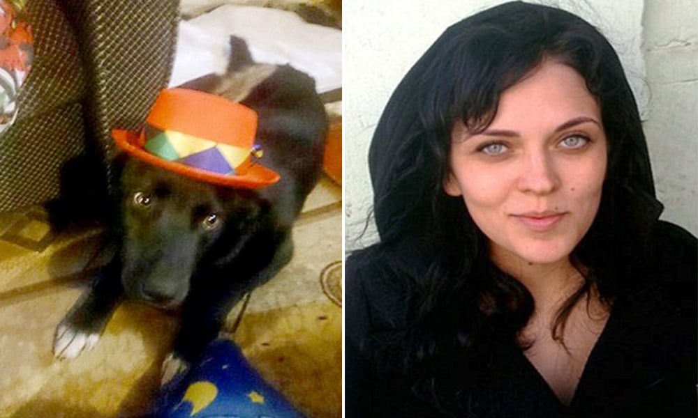 This Dog Walked 200 Miles Across Russia To Be With The Nurse That Saved Its Life