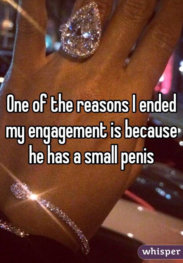 Engagement 15