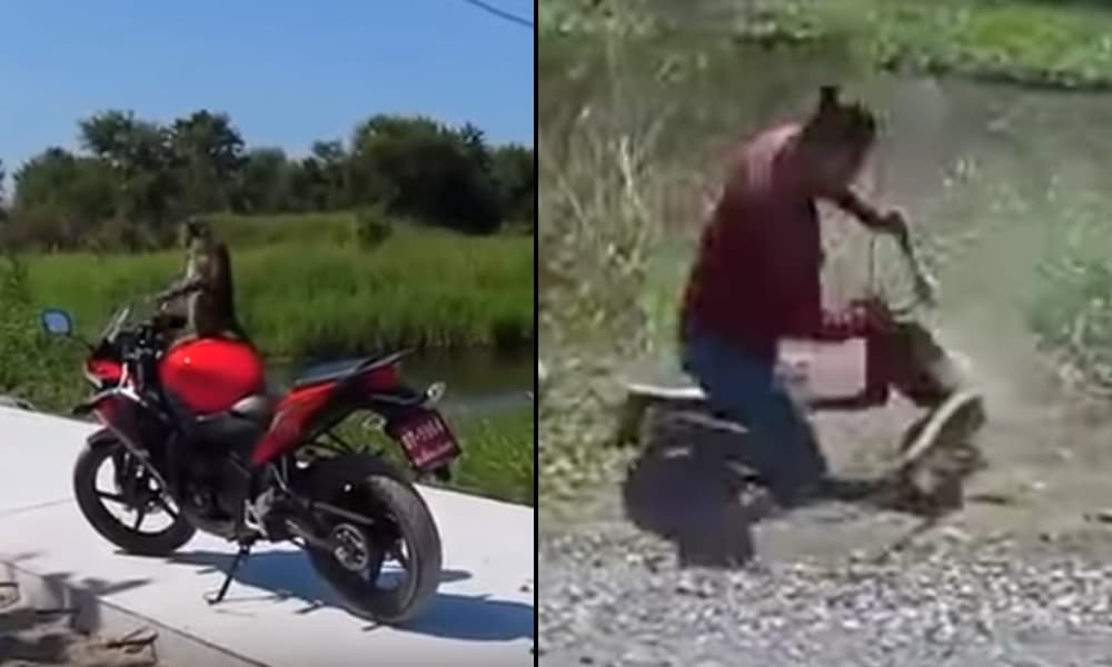 Watch This Man Have A Fight With A Monkey That’s Tampering With His Motorbike