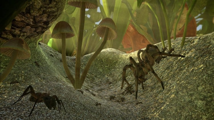 Ant Simulator Cancelled After Developers Blow All The Money On Alcohol And Strippers