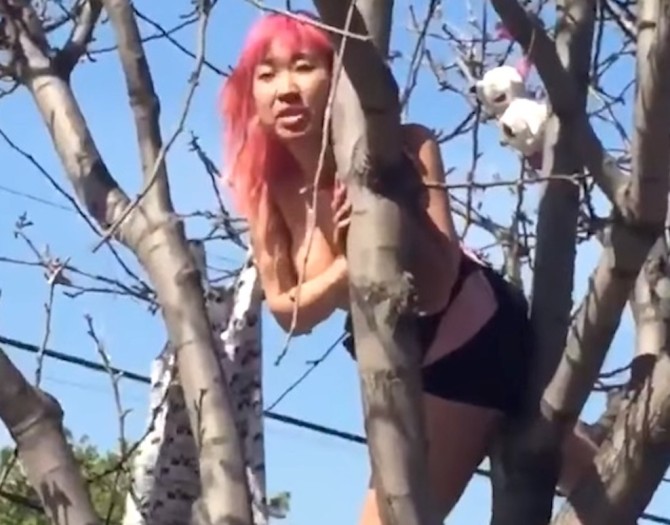 Tree Hooker