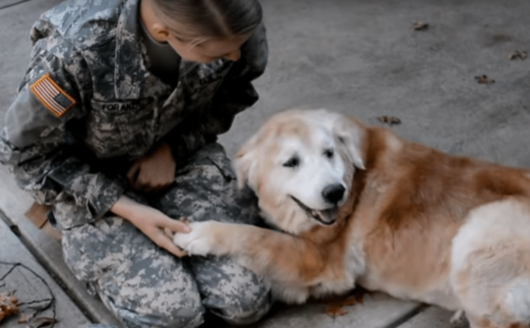 Dog and owner
