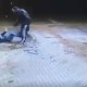 Brutal Street FIght