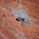 Dead Drops