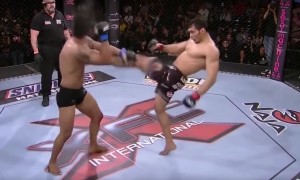 Font Kick Knockout