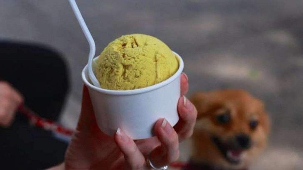 Fried Chicken Ice Cream Japan