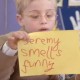 Green Party Grown Up Politics