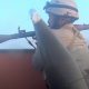 ISIS Fighter Front Line