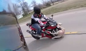 Near Death Experience Dog Crash