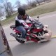 Near Death Experience Dog Crash