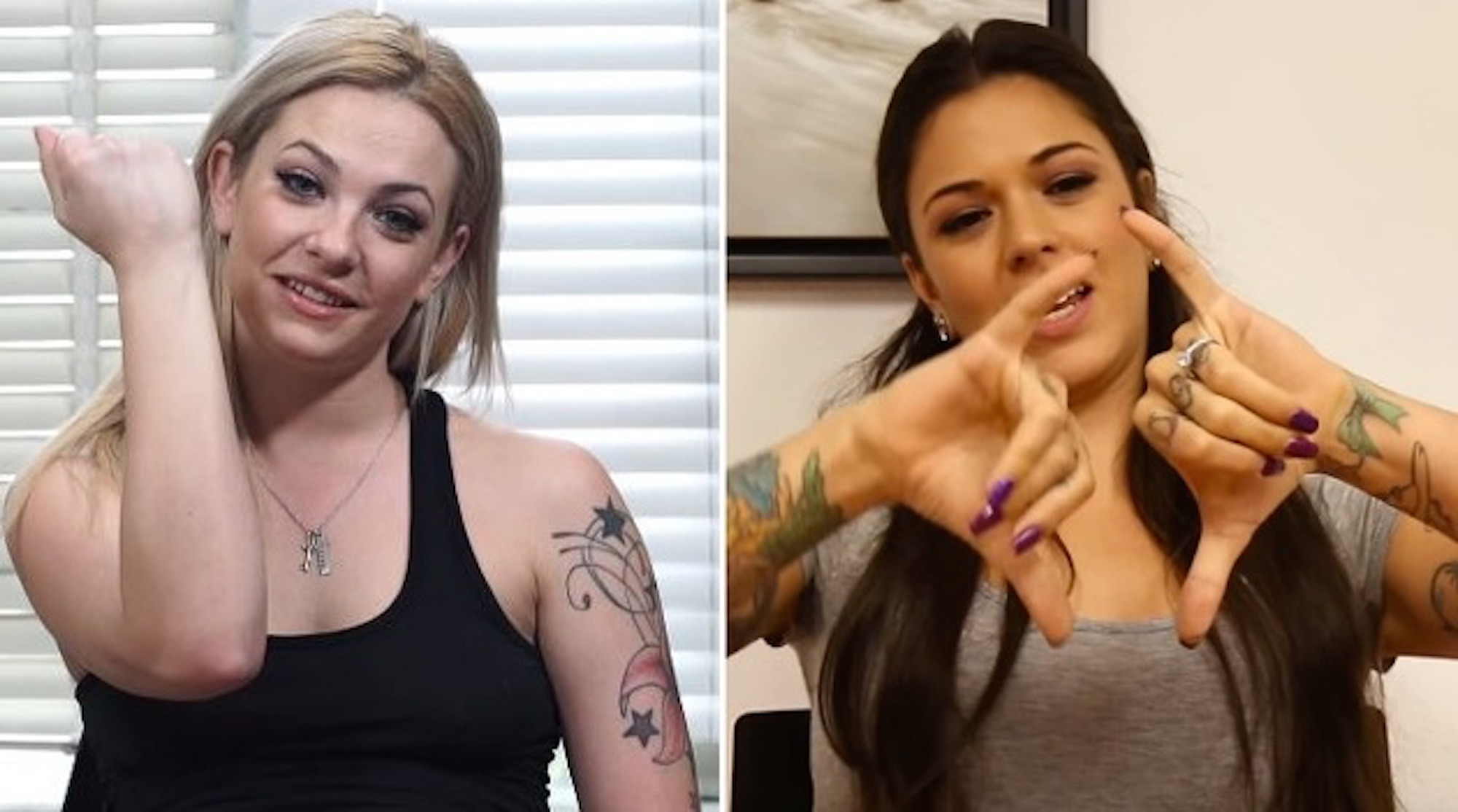 Porn Stars Reveal Their Perfect Penis Size â€“ Sick Chirpse