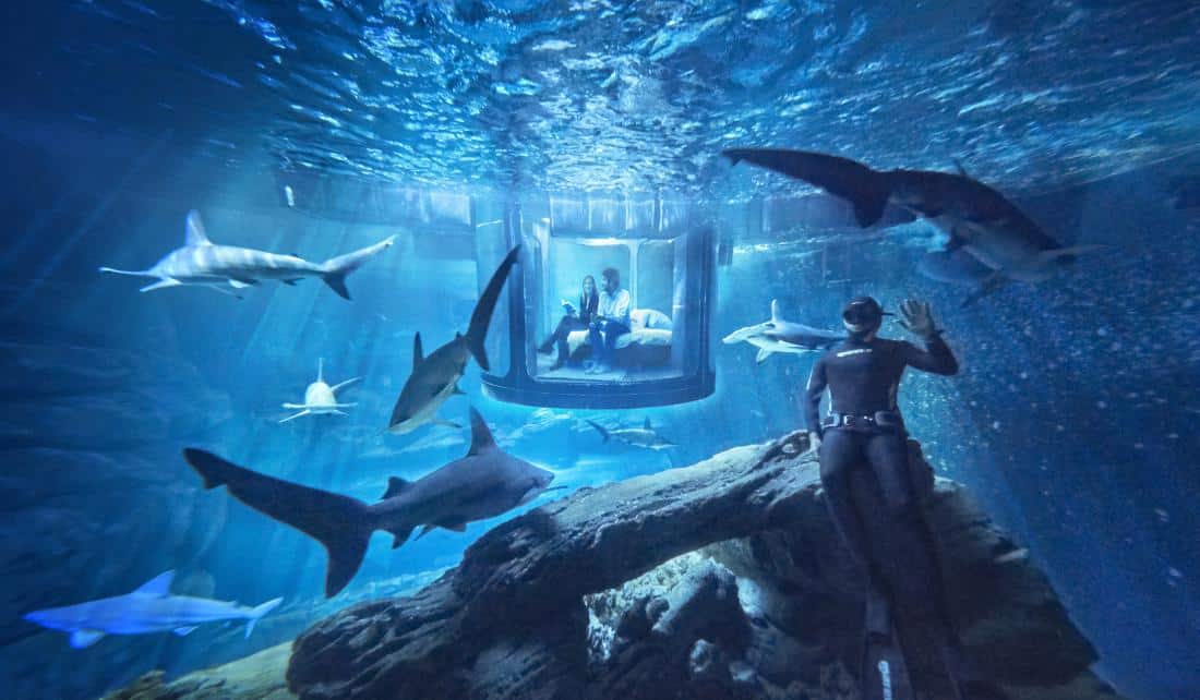 Airbnb Is Offering An Underwater Room In Paris Surrounded By Sharks