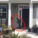 Alligator Trying To Ring Doorbell