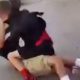 Bully Destroyed MMA Fighter