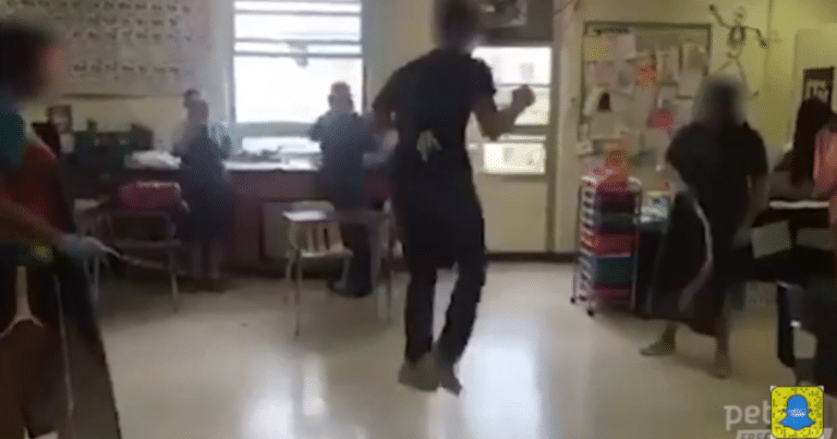 Cats Intestines Texas School