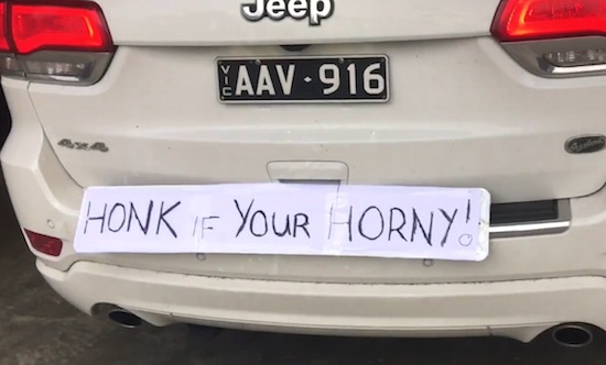 Honk If Your Horny