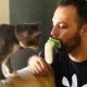 Licki Brush