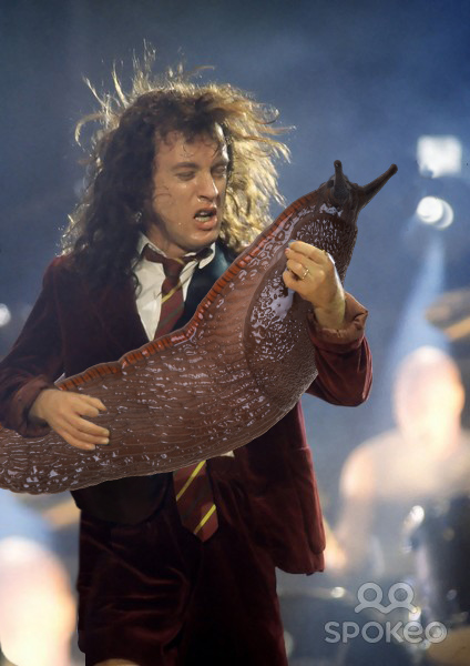 Slug Solos 19