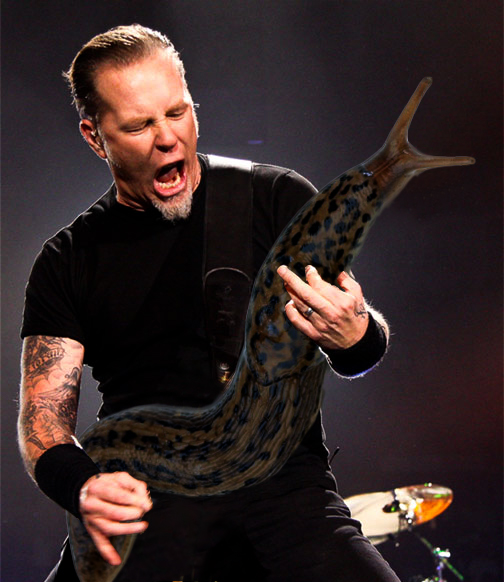 Slug Solos 20