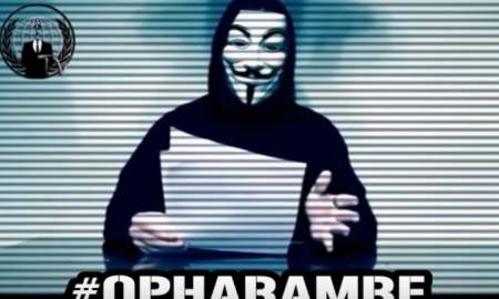 Anonymous Gorilla