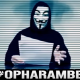 Anonymous Gorilla