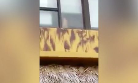 Couple sex hotel room