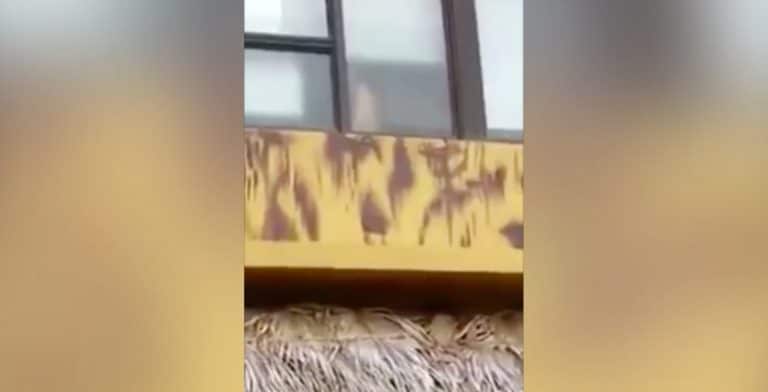 Couple sex hotel room