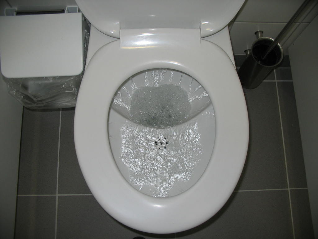 Flushing_toilet