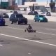Go kart police chase