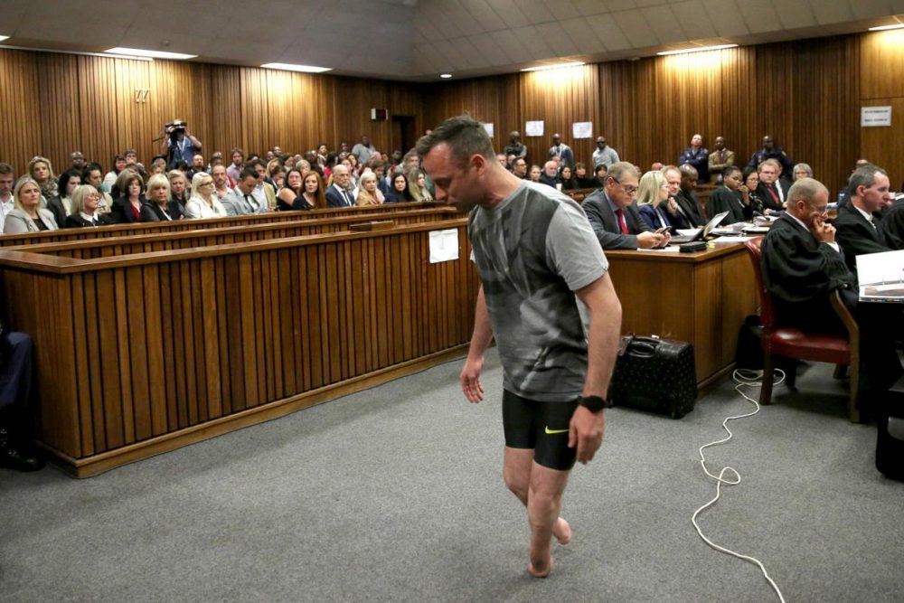 Oscar Pistorius Stumps